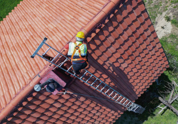 Best Roof Moss and Algae Removal  in Fairport Harbor, OH